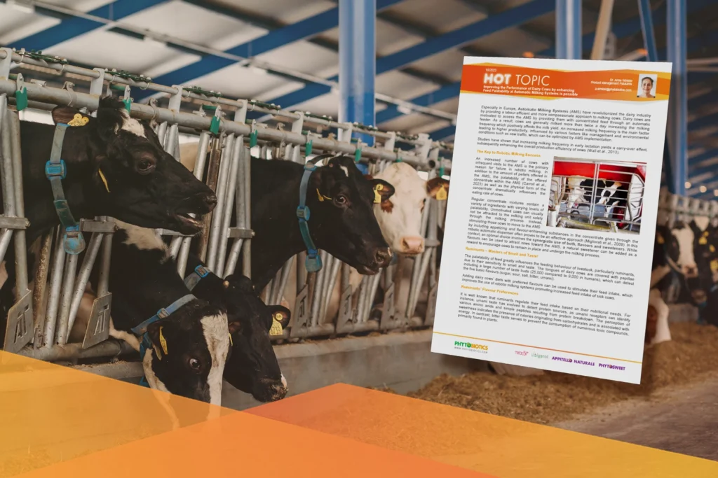 Aromaty w&nbsp;paszach do&nbsp;robota