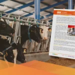 Aromaty w&nbsp;paszach do&nbsp;robota